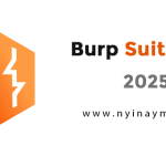 Burp Suite Professional v2025.6.5