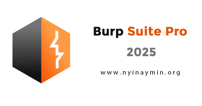 Burp Suite Professional v2025.6.5