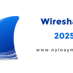 Wireshark v4.4.8 x64 + 3.6.10 x86 + Portable